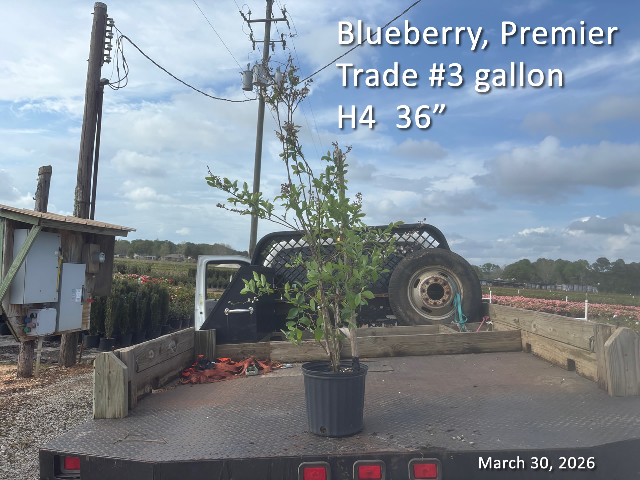 gallery/bpr3t h4 mar30.jpg